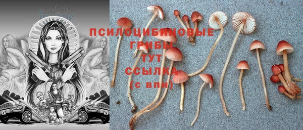 кокс Абдулино