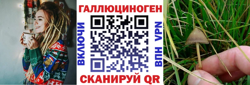 Галлюциногенные грибы MAGIC MUSHROOMS  где продают наркотики  Вологда 