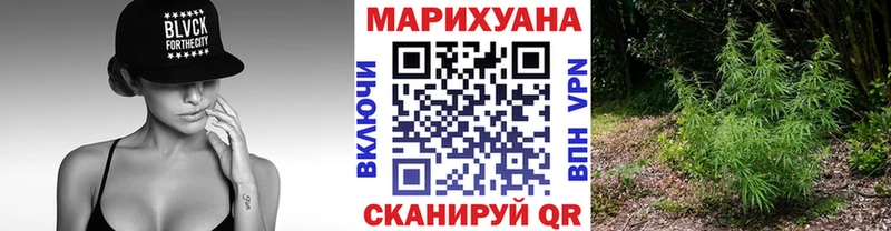 магазин  наркотиков  Вологда  Каннабис OG Kush 